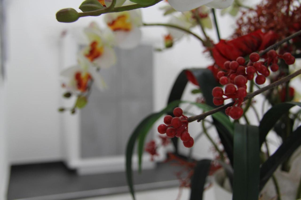 קאסיבילה How Beach,Modern Apartment Close To The Beach,Wifi מראה חיצוני תמונה